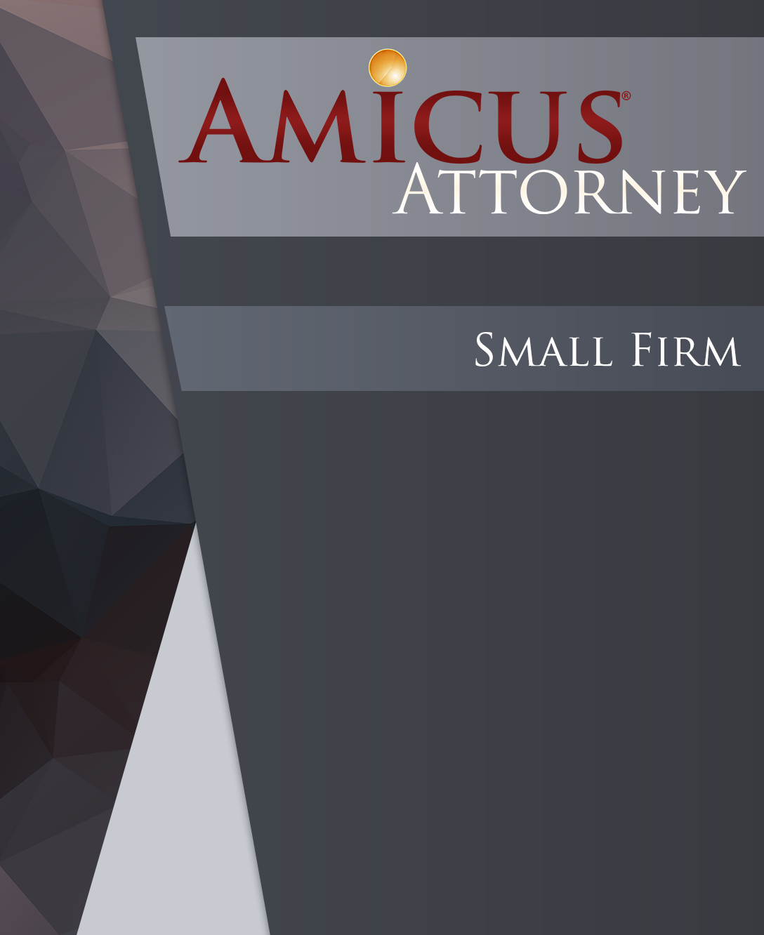 Amicus Attorney Small Firm